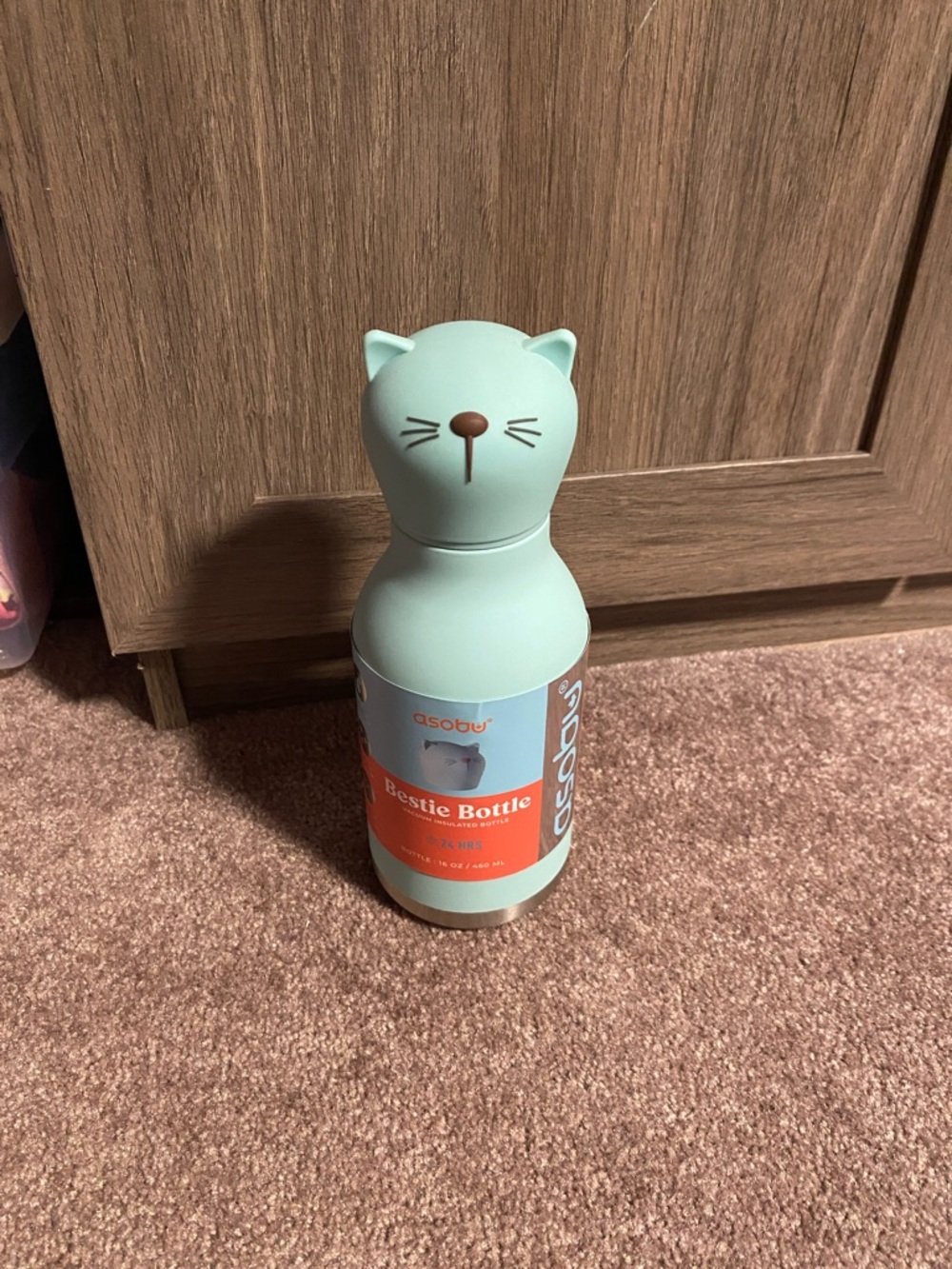 Mint Cat Bestie Bottle - Cute Insulated Cat Water Bottle